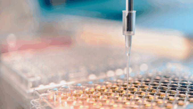 Labor (über nicolas_)