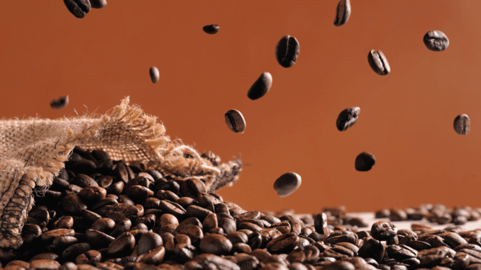 Kaffeebohnen (über Davizro)