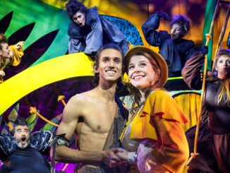 „Tarzan – das Musical“ gastiert im Januar 2026 in Nürnberg