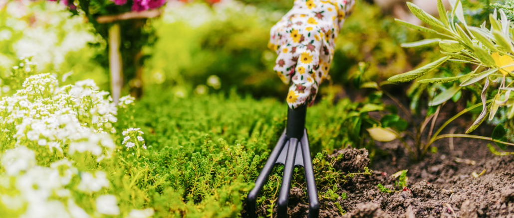 Gartenmythen entlarvt: Was im Beet wirklich hilft – und was nicht