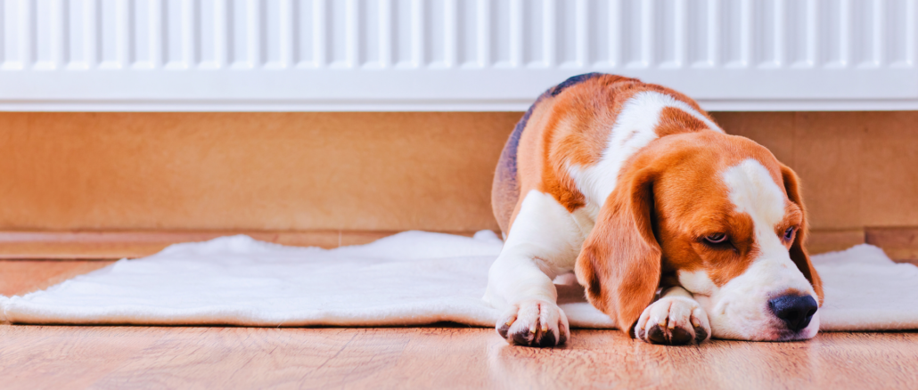 Heizkosten steigen – Durchschnittstemperatur bei 19 Grad