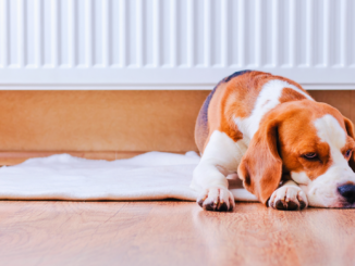 Heizkosten steigen – Durchschnittstemperatur bei 19 Grad