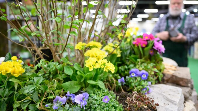 Messegeschehen 2025 (über freizeitmesse.de)