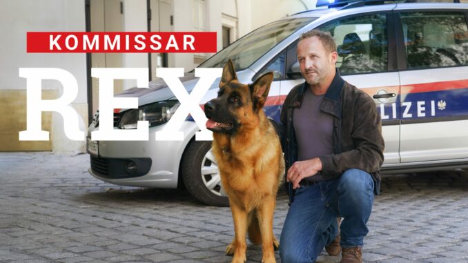 Kommissar Rex (über SAT.1/ORF/Petro Domenigg)