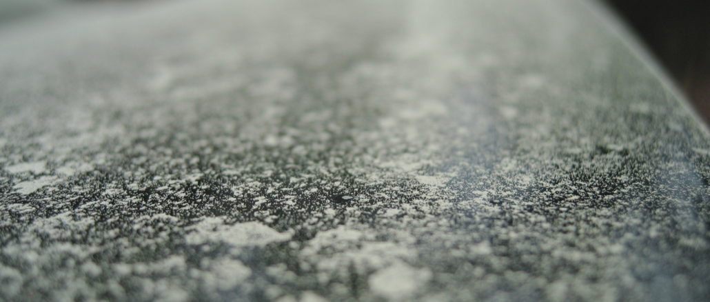 Sicher durch die Pollensaison: Tipps für Autofahrer mit Heuschnupfen