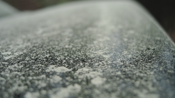 Sicher durch die Pollensaison: Tipps für Autofahrer mit Heuschnupfen