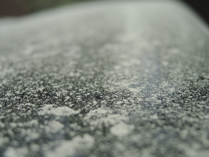 Sicher durch die Pollensaison: Tipps für Autofahrer mit Heuschnupfen