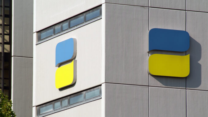 Logo der Deutschen Rentenversicherung (über Deutsche Rentenversicherung Bund/Armin Okula)